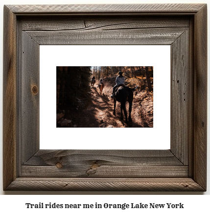 trail rides near me in Orange Lake, New York